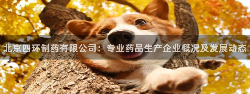 九游会老哥俱乐部必备的交流社区论坛：北京四环制药有限公司：专业药品生产企业概况及发展动态