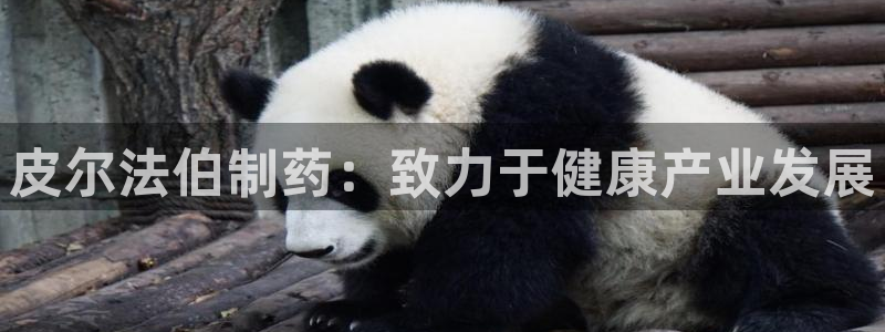 9游会老哥：皮尔法伯制药：致力于健康产业发展