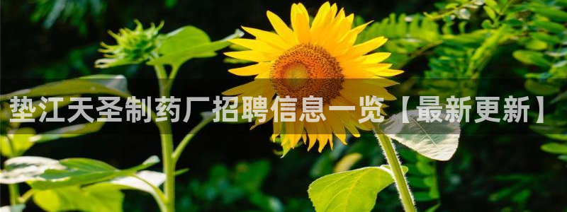九游会老哥俱乐部必备的交流社区：垫江天圣制药厂招聘信息一览【最新更新】