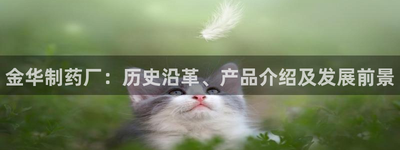 九游会老哥俱乐部：金华制药厂：历史沿革、产品介绍及发展前景