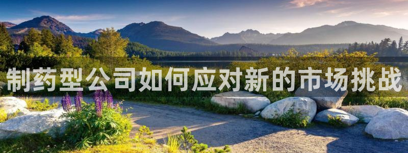 九游老哥俱乐部官网登录：制药型公司如何应对新的市场挑战