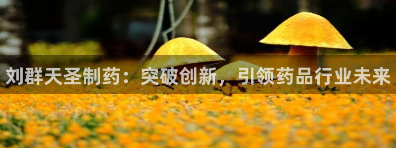九游老哥俱乐部官网登录入口：刘群天圣制药：突破创新，引领药品行业未来