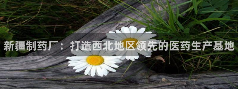 9游会老哥：新疆制药厂：打造西北地区领先的医药生产基地