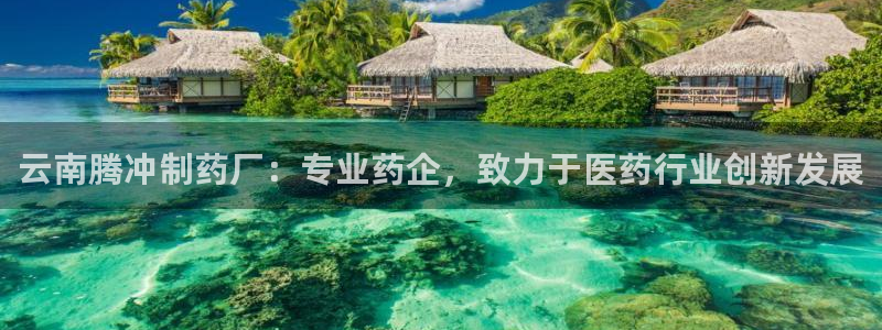 老哥吧九游会下架吗：云南腾冲制药厂：专业药企，致力于医药行业创新发展