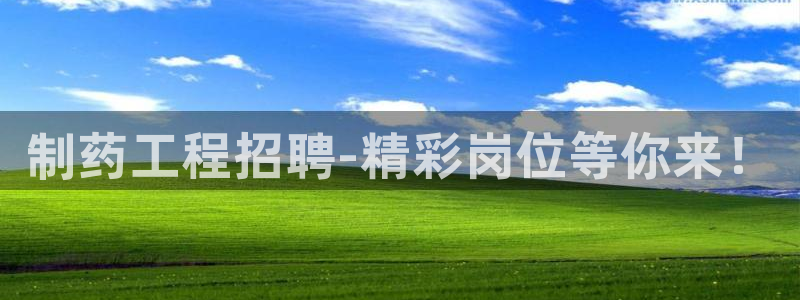 ag九游会老哥俱乐部：制药工程招聘-精彩岗位等你来！