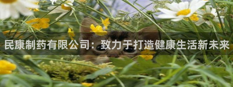 九游会老哥：民康制药有限公司：致力于打造健康生活新未来