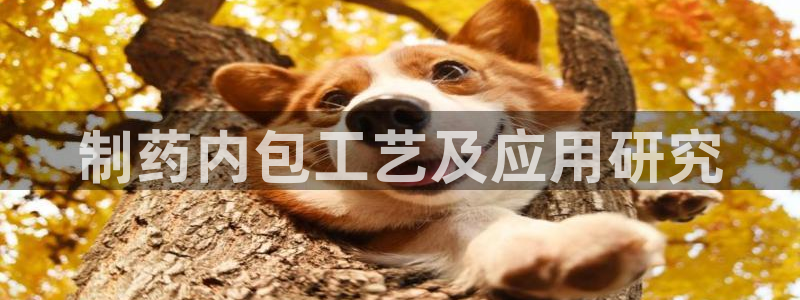 ag九游会老哥俱乐部：制药内包工艺及应用研究