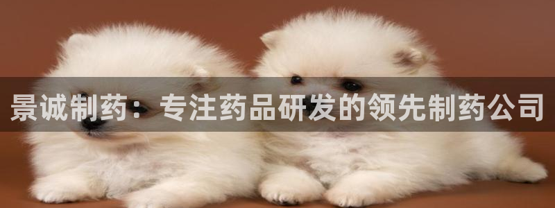 九游老哥俱乐部官网登录网址：景诚制药：专注药品研发的领先制药公司
