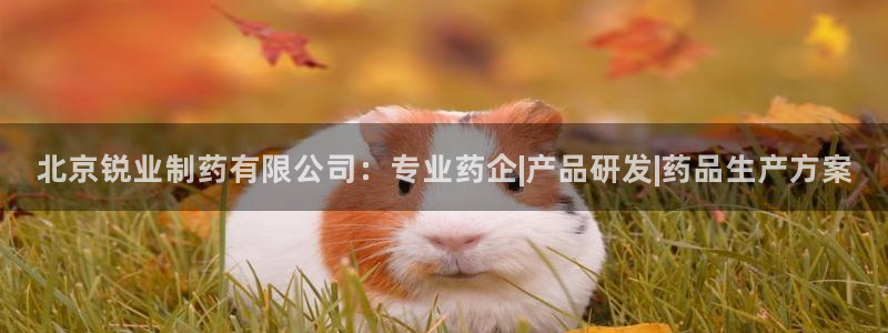九游会老哥俱乐部官网首页