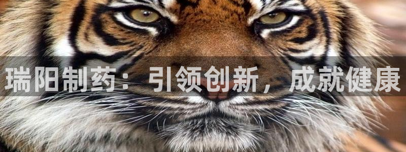 老哥俱乐部是干什么的：瑞阳制药：引领创新，成就健康