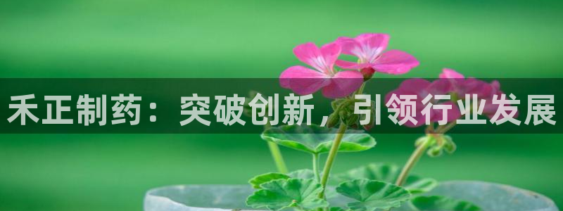 九游会老哥俱乐部：禾正制药：突破创新，引领行业发展