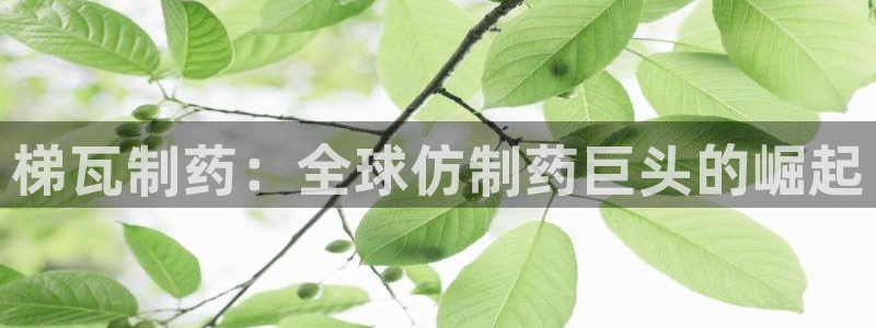 老哥吧九游会下架吗：梯瓦制药：全球仿制药巨头的崛起