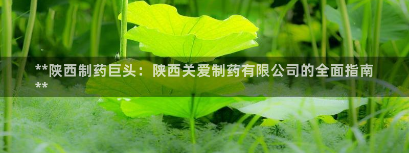 九游会老哥俱乐部官方网站：**陕西制药巨头：陕西关爱制药有限公司的全面指南
**