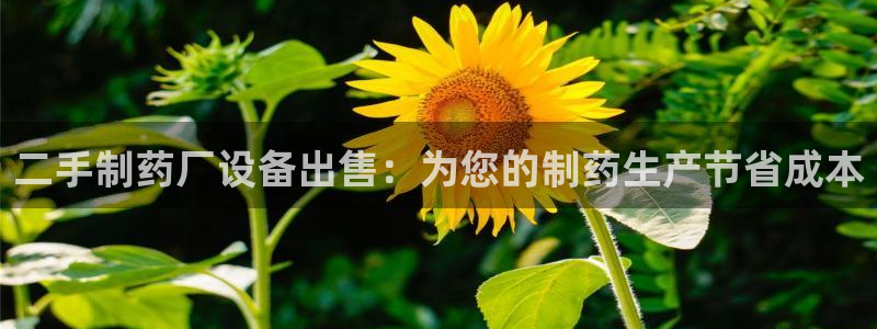 九游老哥俱乐部官网登录入口