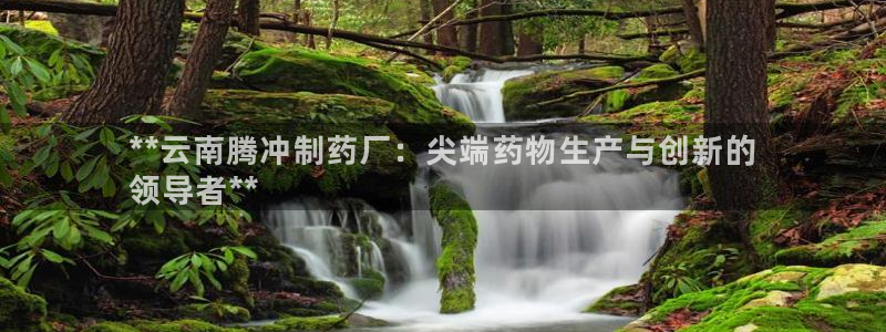 九游会老哥俱乐部官方网站