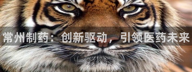 九游老哥俱乐部官网登录入口：常州制药：创新驱动，引领医药未来