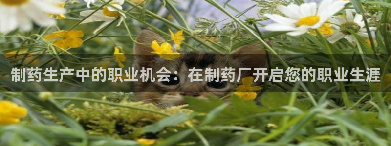 老哥吧九游会：制药生产中的职业机会：在制药厂开启您的职业生涯
