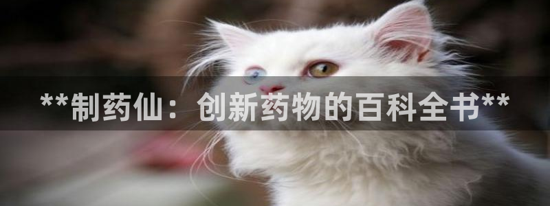 老哥俱乐部是干什么的