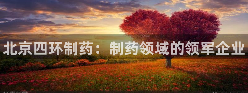 九游会老哥必备的交流社区九