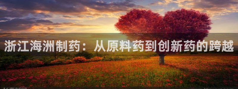 九游会老哥：浙江海洲制药：从原料药到创新药的跨越
