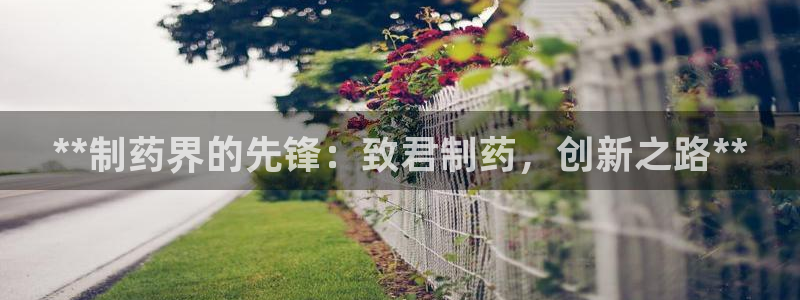 ag九游老哥俱乐部：**制药界的先锋：致君制药，创新之路**