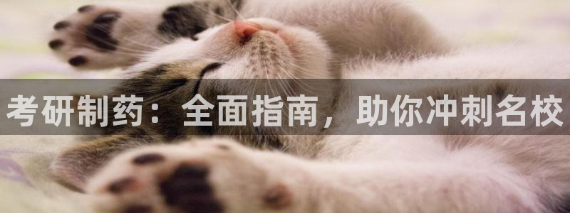 九游会老哥俱乐部社区论坛：考研制药：全面指南，助你冲刺名校