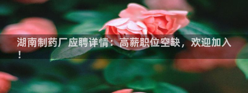 九游会老哥俱乐部交流社区：湖南制药厂应聘详情：高薪职位空缺，欢迎加入
！