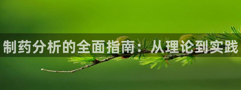 usdt九游会老哥俱乐部：制药分析的全面指南：从理论到实践