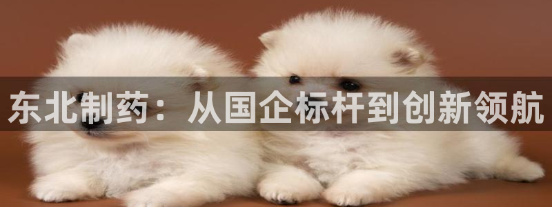 老哥吧九游会下架吗：东北制药：从国企标杆到创新领航