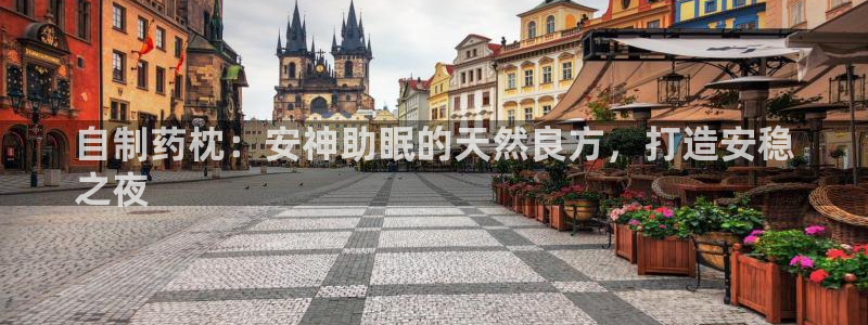 ag九游会老哥：自制药枕：安神助眠的天然良方，打造安稳
之夜