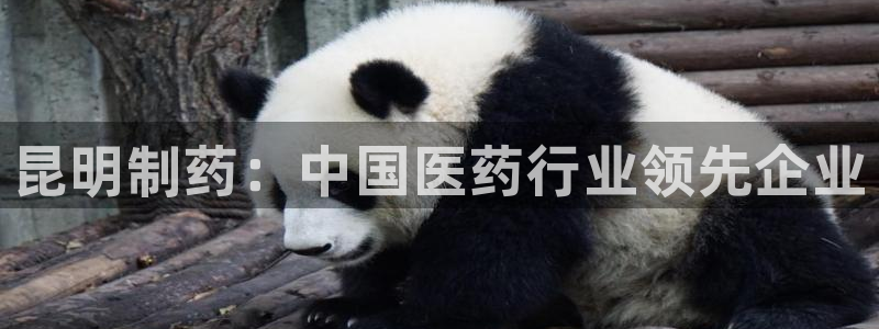 九游老哥俱乐部登录：昆明制药：中国医药行业领先企业