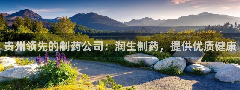 九游老哥俱乐部官网登录：贵州领先的制药公司：润生制药，提供优质健康