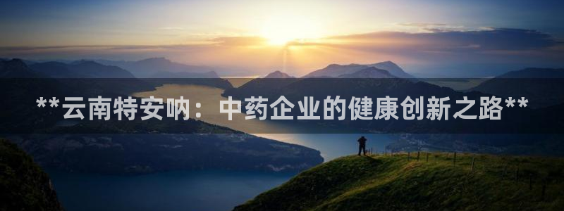 老哥吧九游会：**云南特安呐：中药企业的健康创新之路**