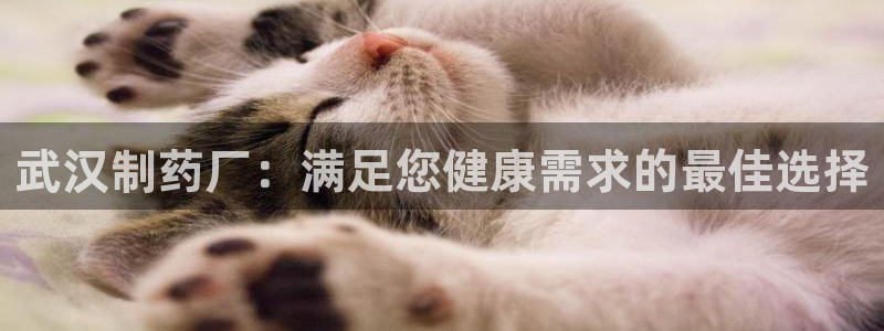 9游会老哥俱乐部：武汉制药厂：满足您健康需求的最佳选择