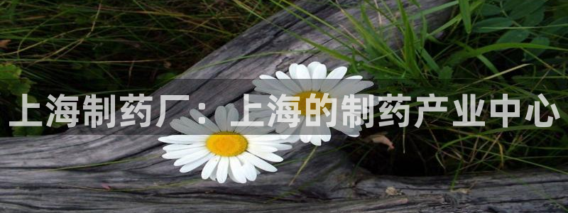 九游老哥俱乐部官网登录不了：上海制药厂：上海的制药产业中心