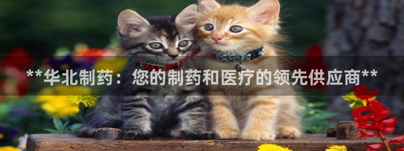 九游会老哥俱乐部官方网站：**华北制药：您的制药和医疗的领先供应商**