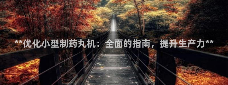 九游会老哥俱乐部官网：**优化小型制药丸机：全面的指南，提升生产力**