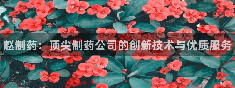 九游会老哥必备的交流社区：赵制药：顶尖制药公司的创新技术与优质服务
