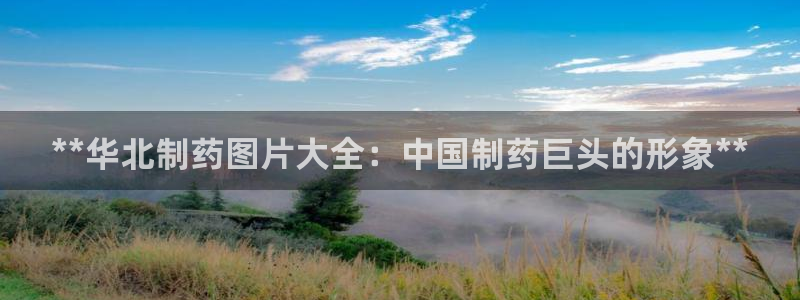 九游会老哥俱乐部官网：**华北制药图片大全：中国制药巨头的形象**
