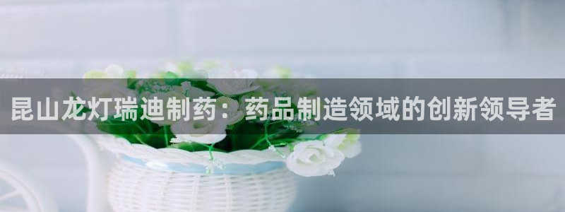 老哥俱乐部是干什么的：昆山龙灯瑞迪制药：药品制造领域的创新领导者