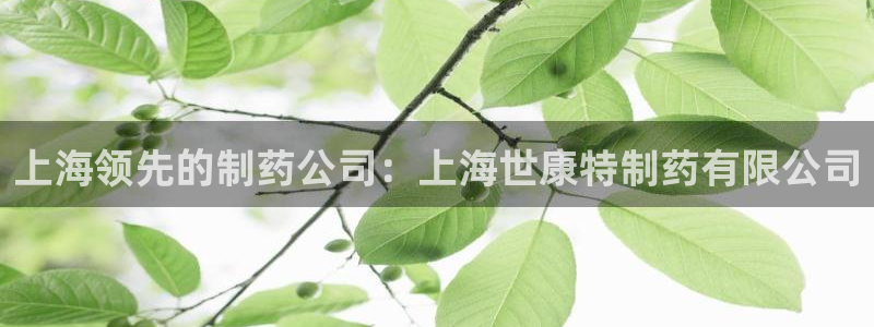 九游会老哥必备的交流社区九：上海领先的制药公司：上海世康特制药有限公司