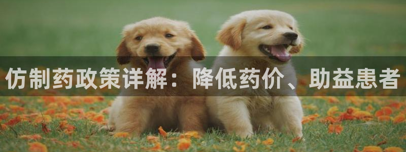 九游老哥俱乐部官网登录：仿制药政策详解：降低药价、助益患者