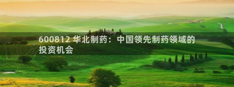 九游老哥俱乐部登录：600812 华北制药：中国领先制药领域的
投资机会