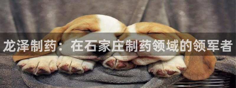 九游会老哥俱乐部官方网站：龙泽制药：在石家庄制药领域的领军者