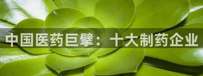 九游会老哥俱乐部必备的交流社区论坛：中国医药巨擘：十大制药企业