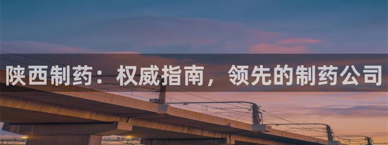 九游会老哥必备的交流社区：陕西制药：权威指南，领先的制药公司