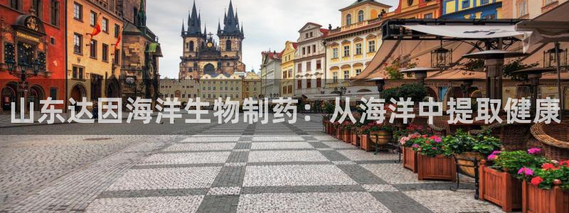 九游会老哥俱乐部论坛版
