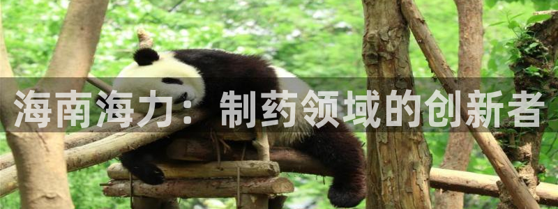 九游会老哥必备的交流社区九：海南海力：制药领域的创新者