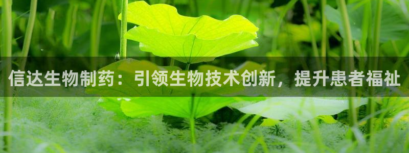 九游会老哥必备的交流社区九：信达生物制药：引领生物技术创新，提升患者福祉