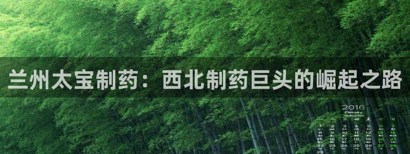 ag九游老哥俱乐部：兰州太宝制药：西北制药巨头的崛起之路